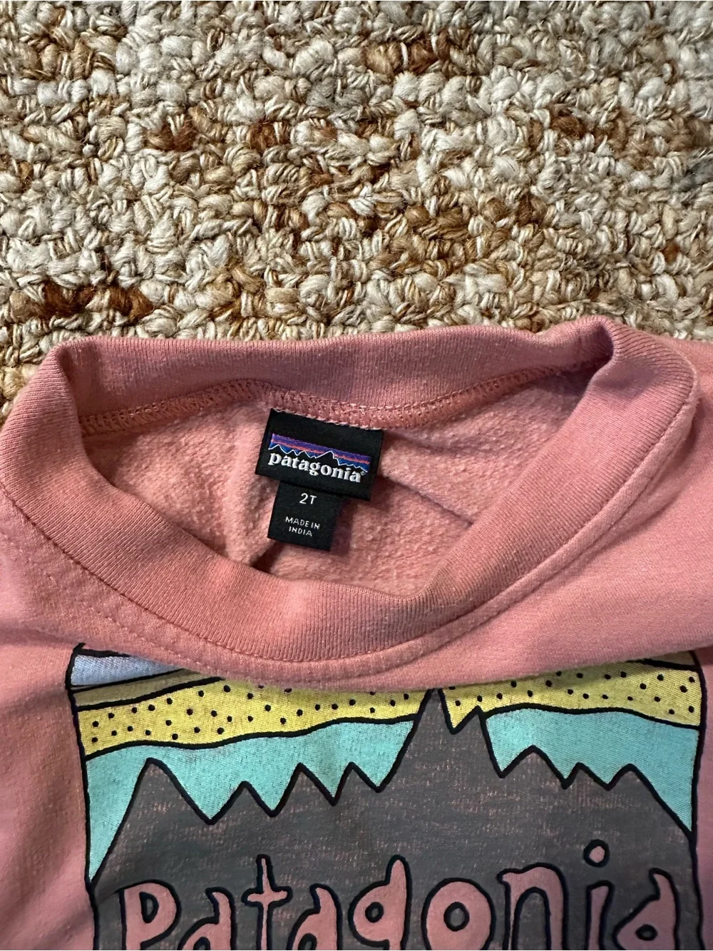 Patagonia Kids Dusty Pink Mountain Logo Sweatshirt